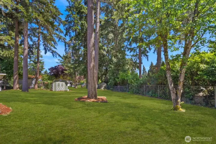 Fully fenced backyard