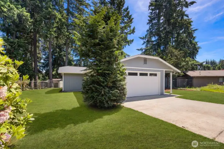 Large sideyard