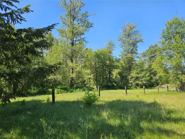 12.87 Acres just 2.5 miles from Elbe, WA!