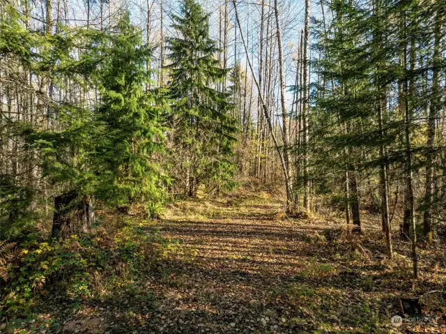 Clearing near the middle of the property.