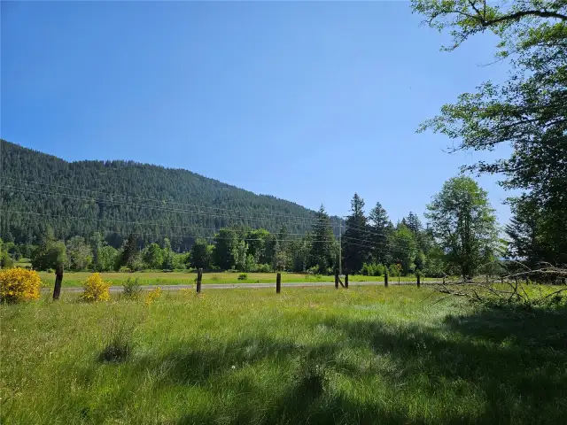 Springtime view looking towards Elbe Hills- property runs along HWY 706 leading you to Mt Rainier.