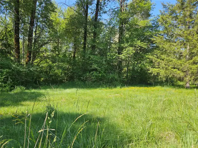 Springtime 2025
