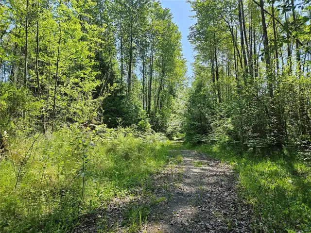 Private drive leading to potential Build site