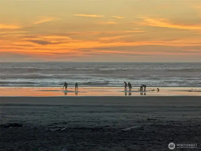 Clamming, crabbing, beachcombing, bonfires on the beach and gorgeous sunsets