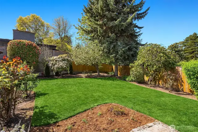 Beautiful mature landscaping features fruit trees, roses, camellias, and more!