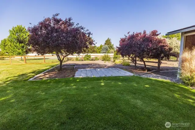 back yard facing west