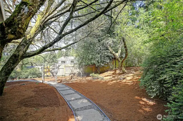 Mystical canopy of trees pathway