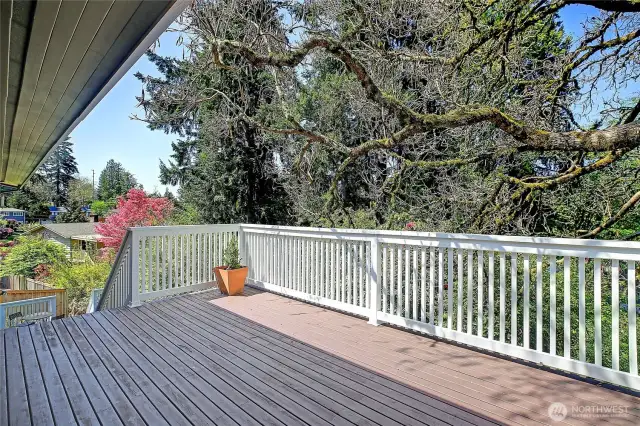 Main floor deck
