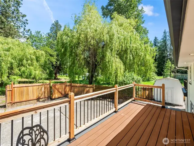Back Deck