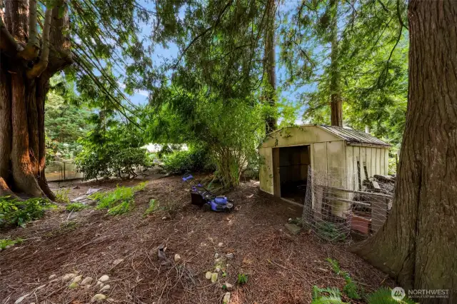 little shed for garden tools