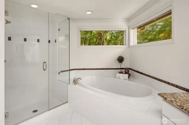 Close up of the soaking tub, with tree top views.
