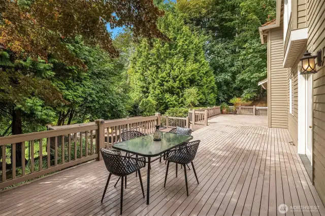 This magnificent deck stretches the entire length of the house - from downstairs family room, to kitchen with French doors, all the way to the bonus room.  A second tier of the deck goes down to the hot tub!  Walk behind the camera to a few stairs leading the prized gazebo!
