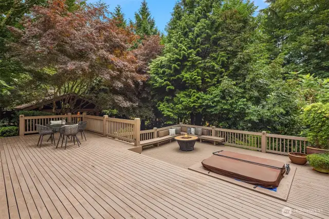 Coming out the French doors in the kitchen you can walk straight down to the hot tub tier, or head to the left and walk down the stairs to the gem of the outside oasis: the gazebo and the water fountain!