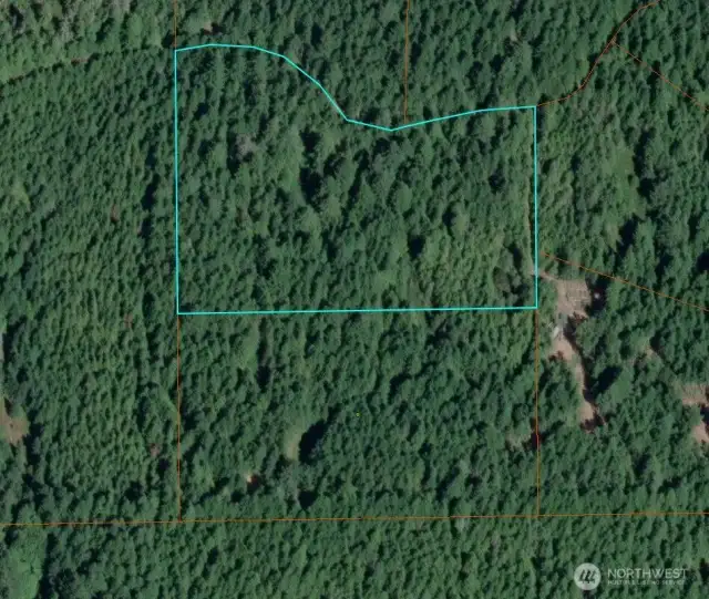 These two parcels were once part of a Christmas tree farm.