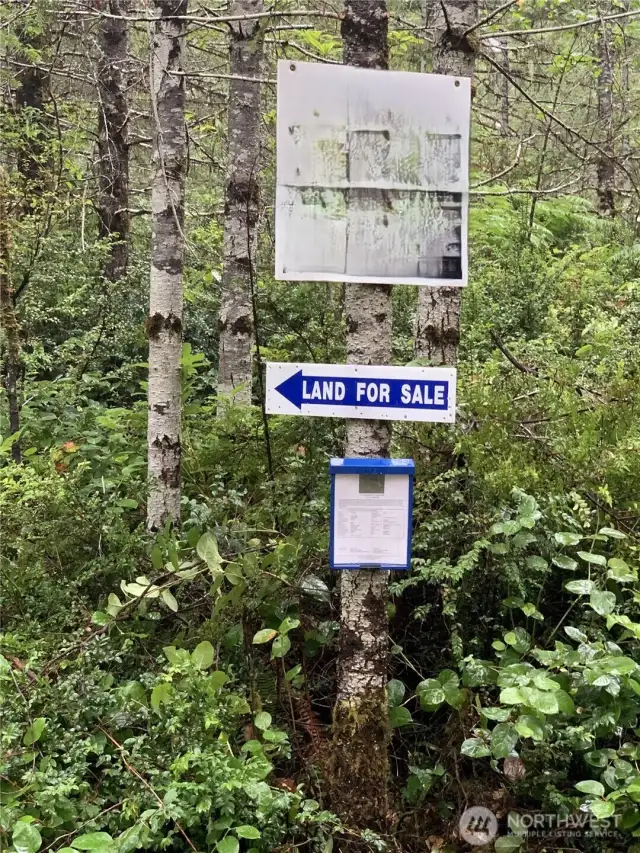 Park in driveway when you see the RE sign and arrow.