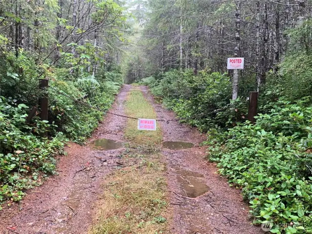 This driveway is the access for multiple parcels. There are no dogs in the woods! Walk down this road until you get to the "T" at the south property line.