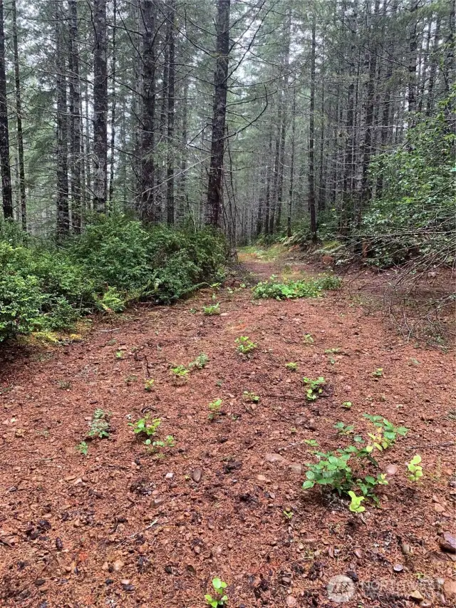 RV site near small pond.