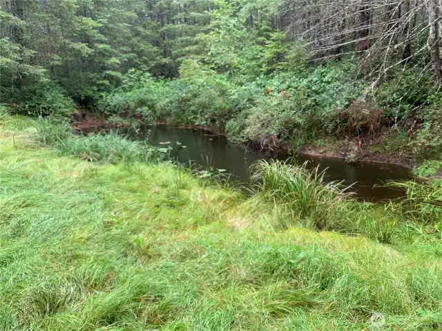 Small year-round pond is about 10 feet deep.