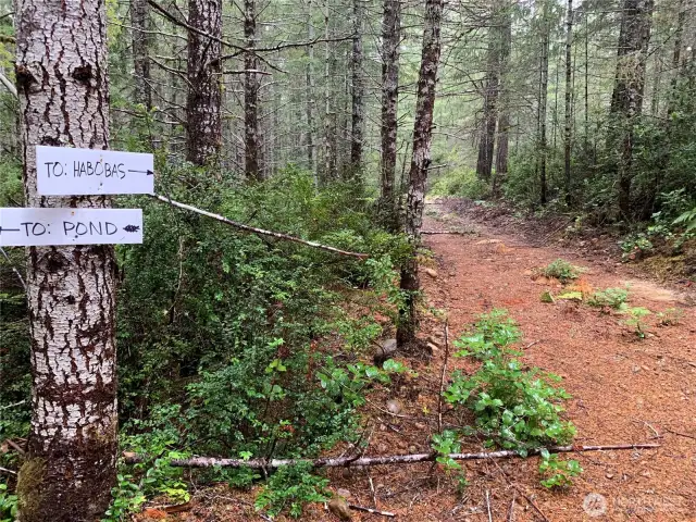 Right fork leads back to Hahobas Drive.