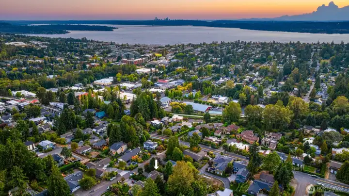 Drone view of the lake.
