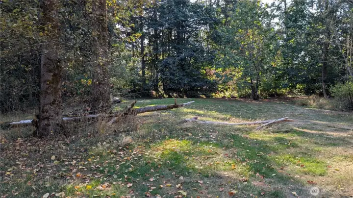 Back 1/4 area.