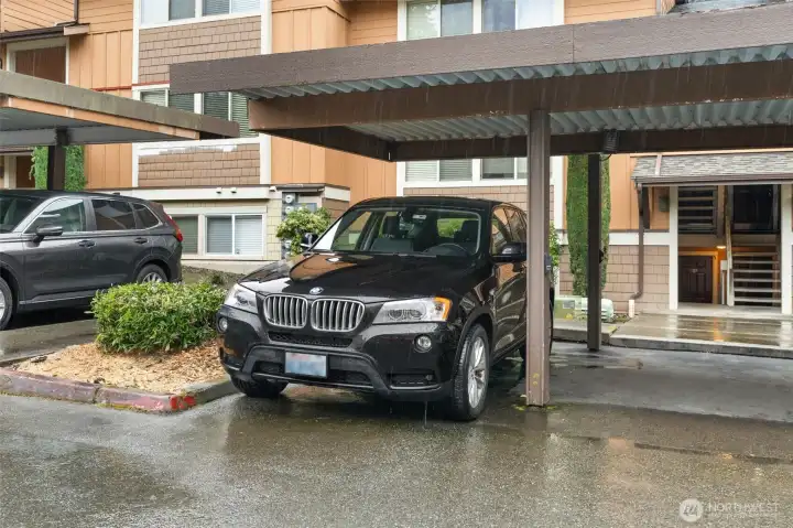 Rare 2 covered parking (where the black car is)