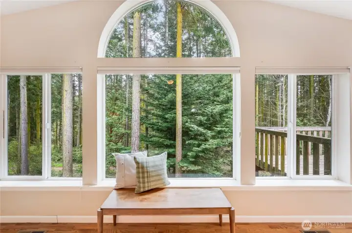 View into the forest