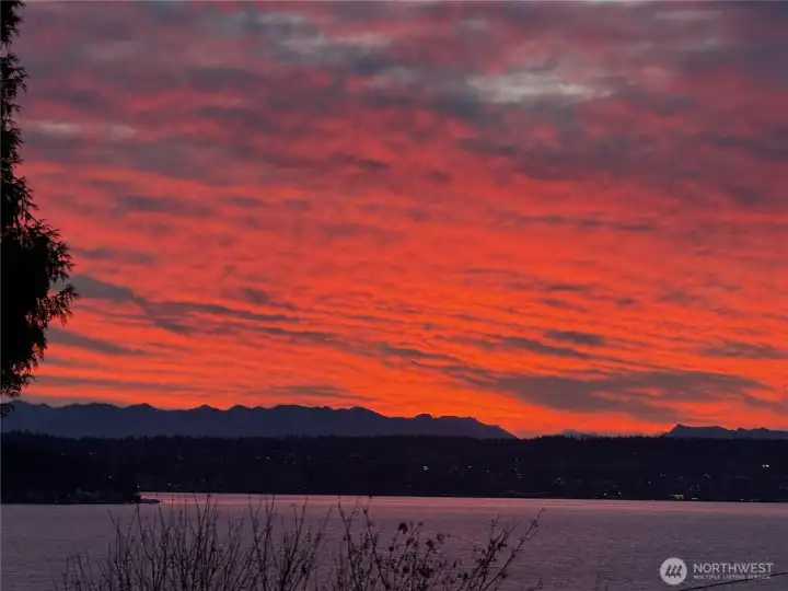 Sunrise in November! The sky wakes up to a different color every morning. Looking out over to Kirkland and the Cascade Mountains.
