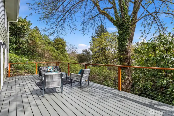 The newer lower deck adjacent to the trail with a power source for a hot tub.