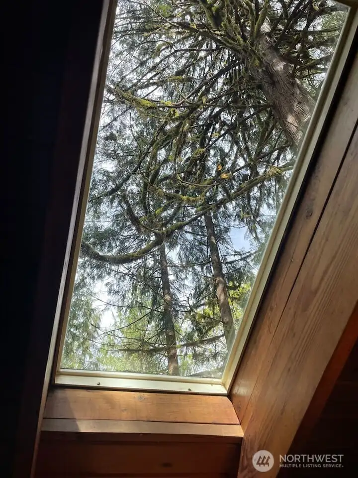 Lots of light