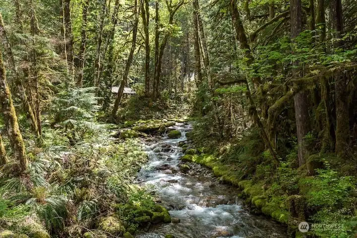 Love the sounds of the creek