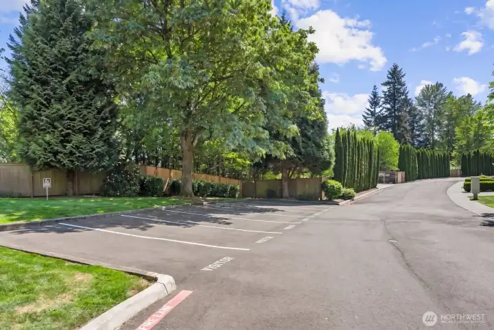 Plenty of guest parking right across from the property