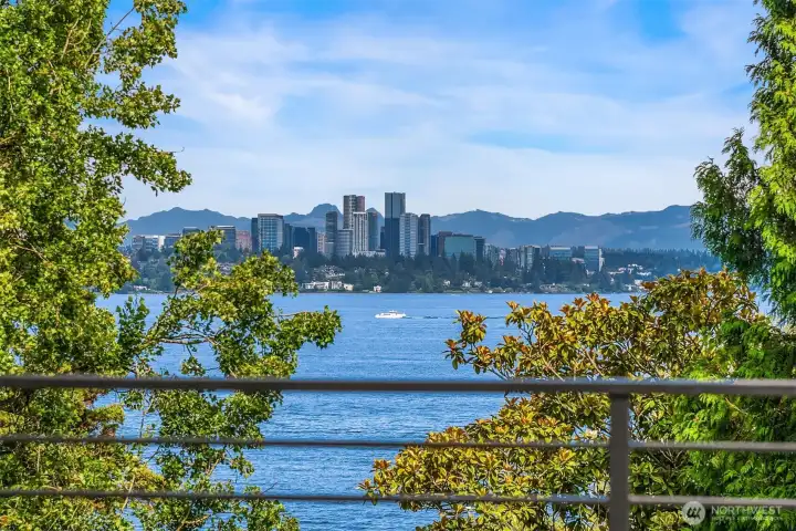 Beautiful Views of Lake Washington & the Bellevue Skyline Beautiful Views of Lake Washington & the Bellevue Skyline