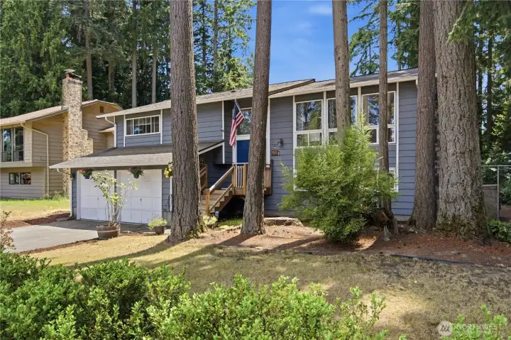 Great front yard! Great front yard!
