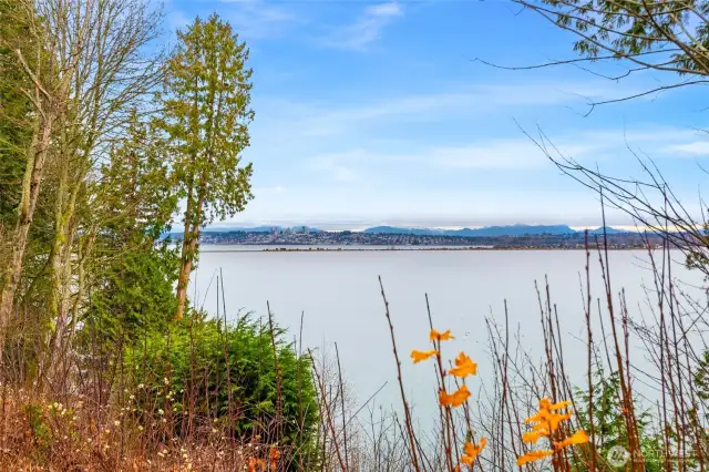 Welcome to your new home on the Ocean front of Drayton Bay