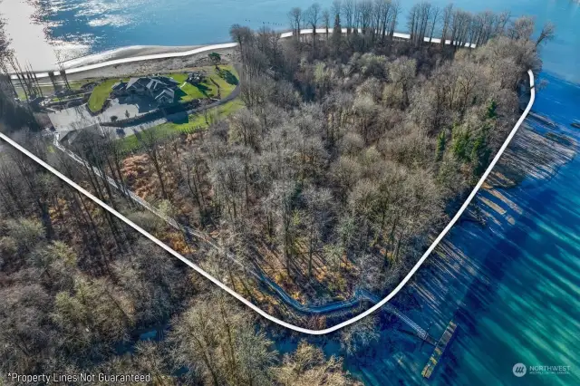 White outline is the approximate property lines.