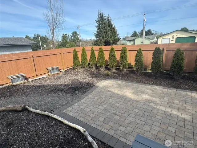 Landscaped back yard
