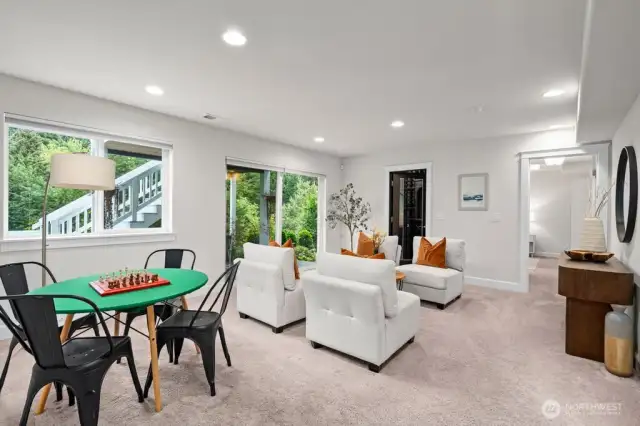 Lower level rec room