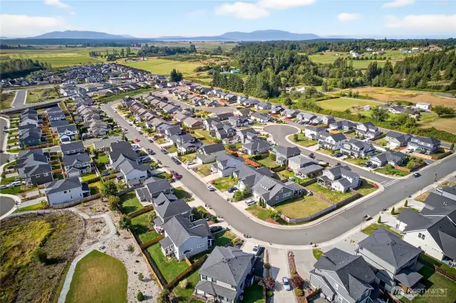 Neighborhood View