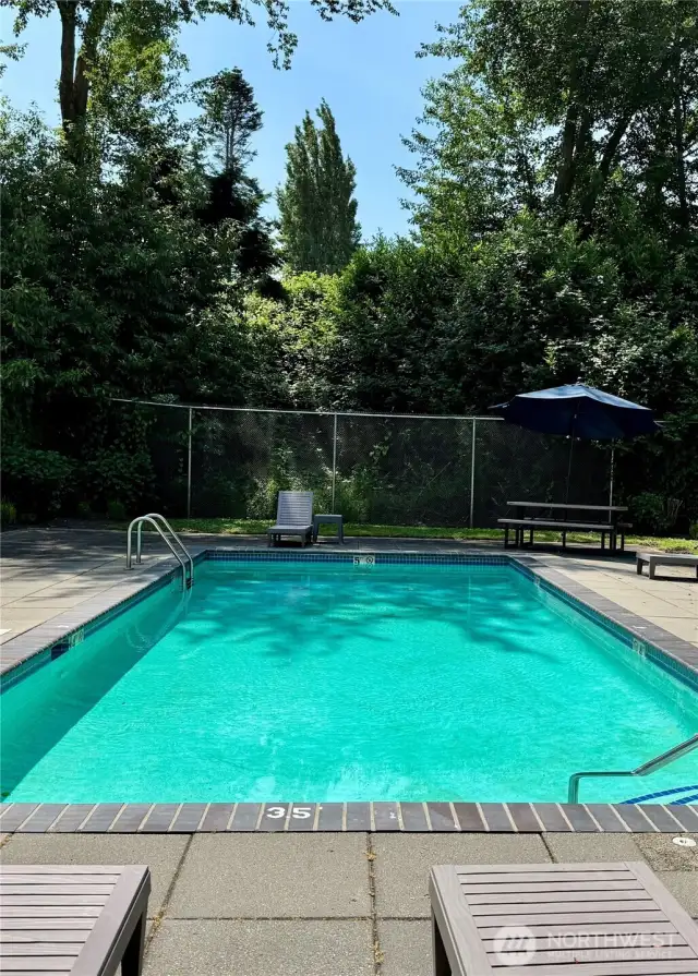 Community Pool