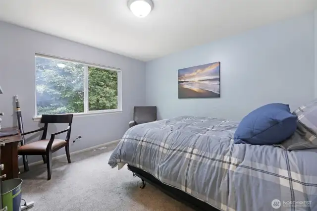 Large Bedroom, walk in closet & backyard views