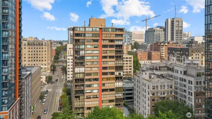 Unique perspective showing both lush treetops and city skyscrapers in perfect balance.