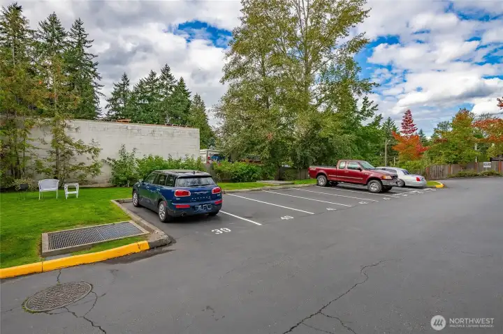 Plenty of guest parking.