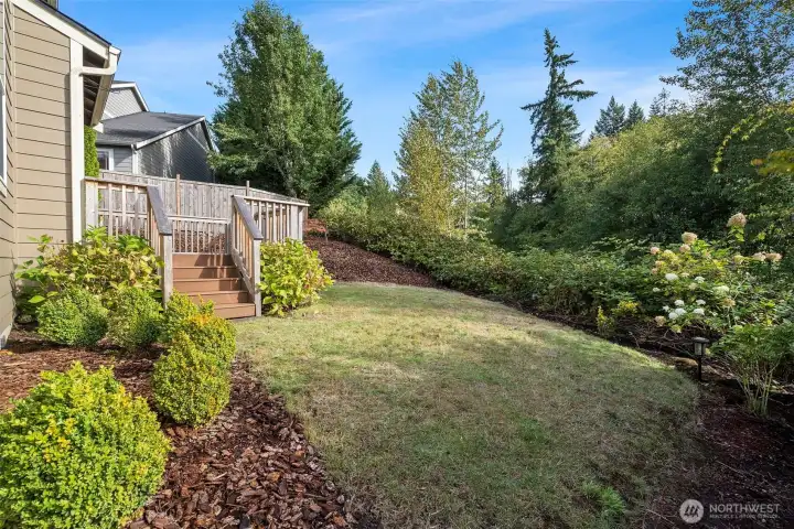 Easy maintanance landscaping