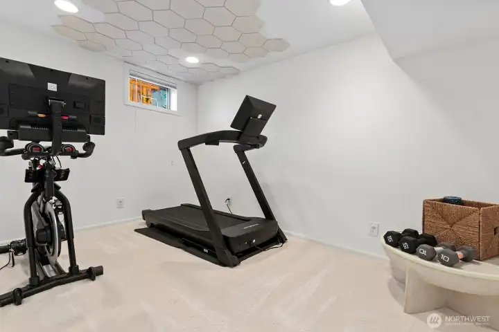 This room is being used as a home gym, but it could also be a home office!