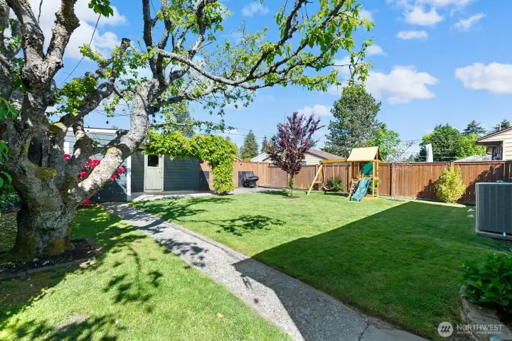 View of the yard and garage/office from the back door. There's a newer A/C unit!