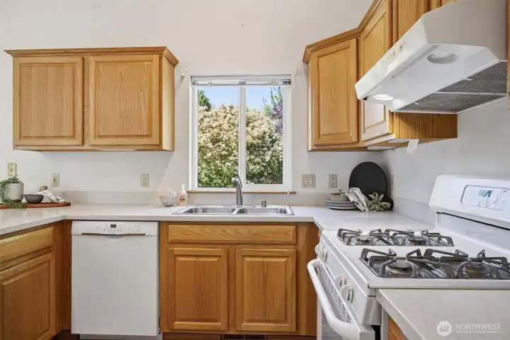 The view of the side yard makes washing dishes a pleasant experience, and there is an abundance of cabinet storage space.