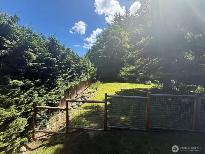 Newer fencing Newer fencing
