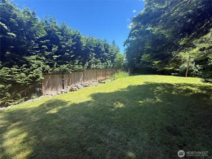 Partially fenced grassy yard Partially fenced grassy yard