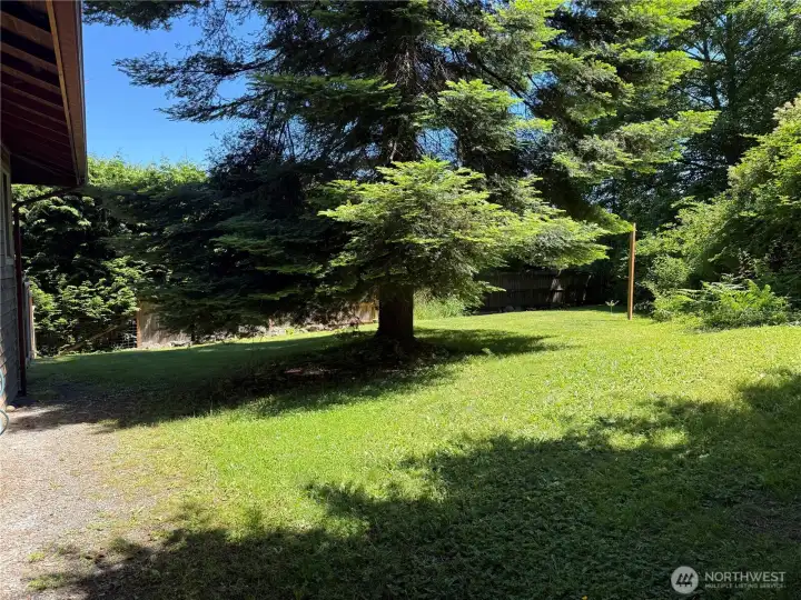 Stately trees grace the generous grassy yard Stately trees grace the generous grassy yard